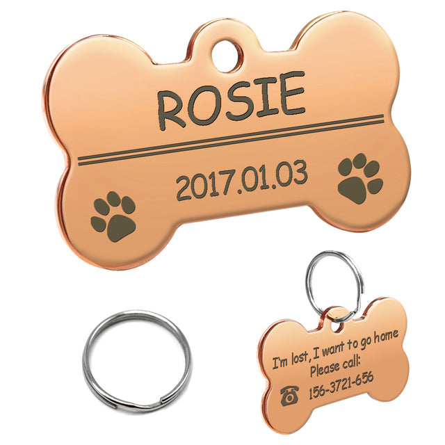 [Cute Accessories For Pet Lovers] - PetKingdomWorld